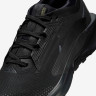 Кросівки Nike Pegasus Trail 5 GORE-TEX FQ0912-002