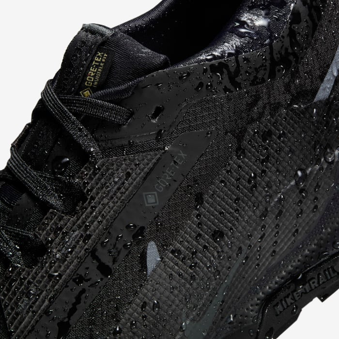 Кросівки Nike Pegasus Trail 5 GORE-TEX FQ0912-002