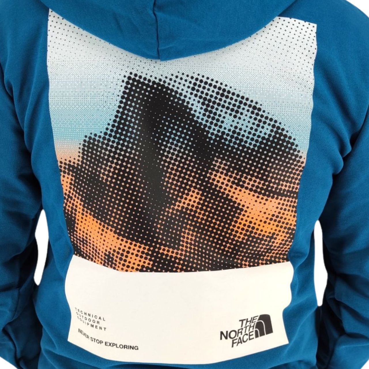 Толстовка The North Face M D2 GRAPHIC HOODI NF0A83FOEFS1