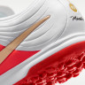 Сороконіжки Nike TIEMPO MAESTRO ACADEMY TF IB4484-100