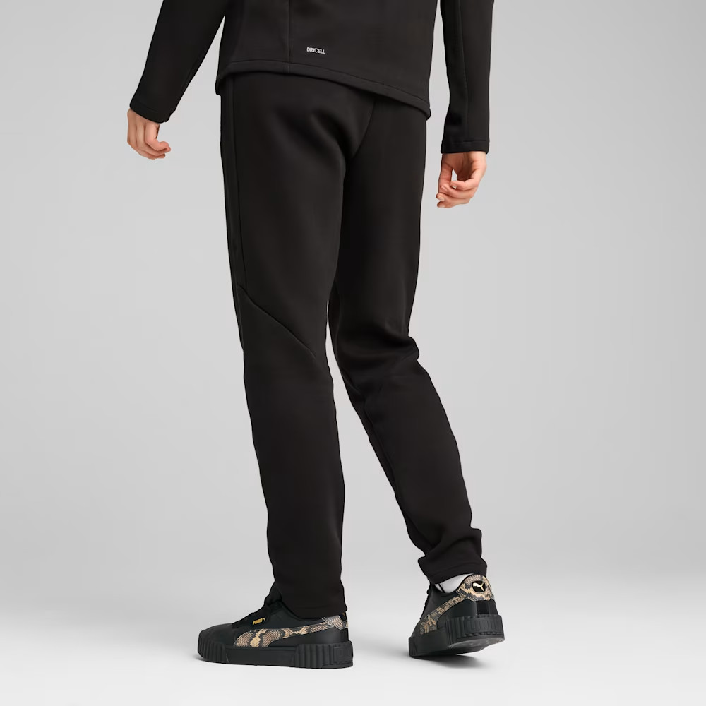 Штани спортивні EVOSTRIPE Sweatpants 68505101 Puma L Чорний 68505101