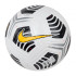 М'яч Nike NK CLUB ELITE - PROMO FA20 CW5459-100