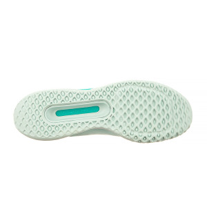 Кросівки Nike ZOOM COURT PRO HC DV3285-300