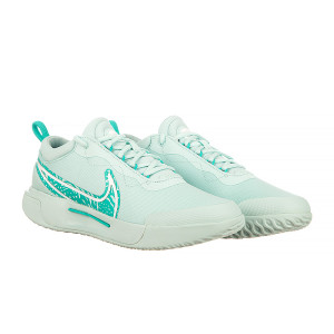 Кросівки Nike ZOOM COURT PRO HC DV3285-300