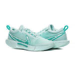 Кросівки Nike ZOOM COURT PRO CLY FD1156-300