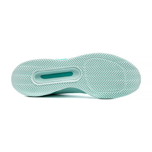 Кросівки Nike ZOOM COURT PRO CLY FD1156-300