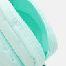 Сумка на плече Nike NK HERITAGE CROSSBODY м'ятний Уні 23 х 15 х 7.5 см (DB0456-353) DB0456-353