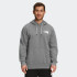 Худі чоловіче The North Face Box Nse Long-Sleeve Pullover Heathered NF0A7UNSGVD