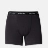 Труси-боксери Dickies DICKIES 2 PACK TRUNKS DK0A4XOCBLK1