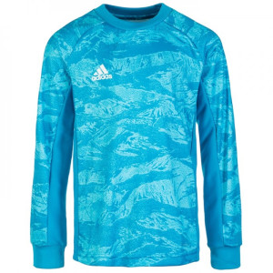 Футболка воротарська Adidas AdiPro 19 GK DP3139