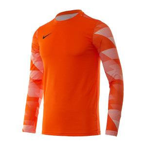 Кофта Nike Dry Park IV Goalkeeper Jersey Long Sleeve CJ6066-819