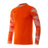 Кофта Nike Dry Park IV Goalkeeper Jersey Long Sleeve CJ6066-819