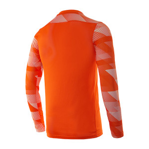 Кофта Nike Dry Park IV Goalkeeper Jersey Long Sleeve CJ6066-819