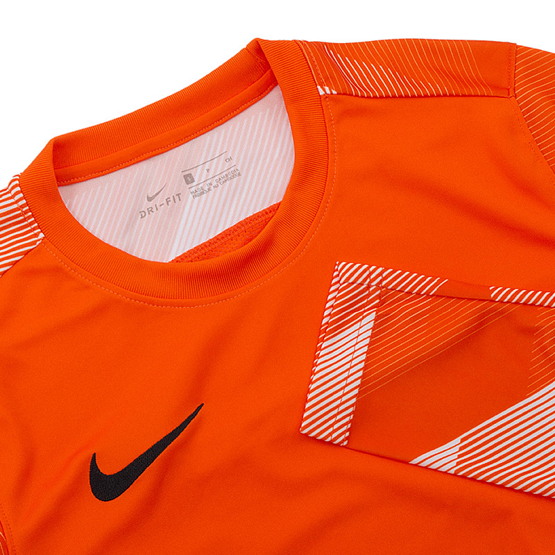 Кофта Nike Dry Park IV Goalkeeper Jersey Long Sleeve CJ6066-819