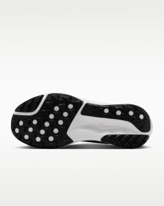 Кросівки Nike ACG PEGASUS TRAIL HV8116-001