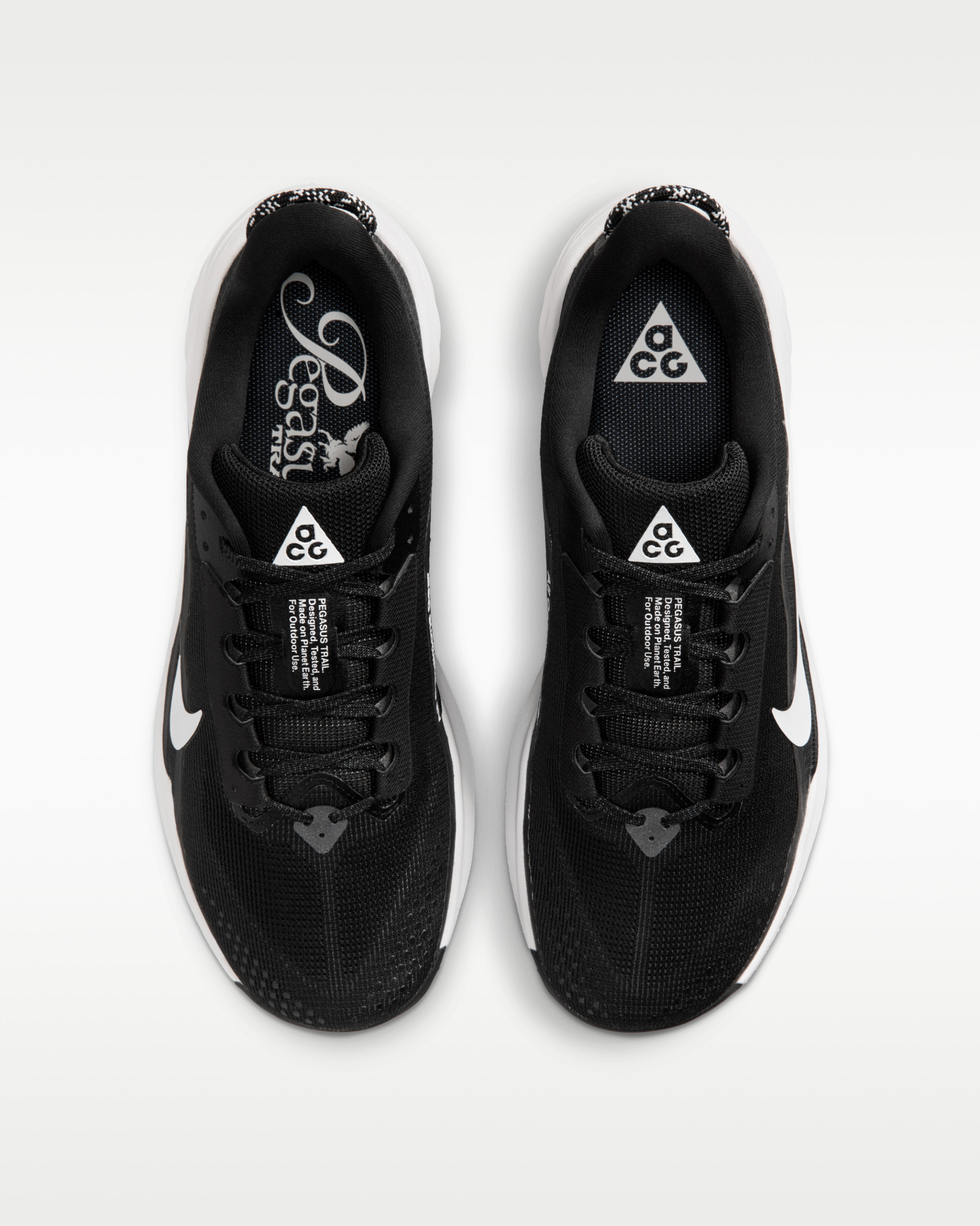 Кросівки Nike ACG PEGASUS TRAIL HV8116-001