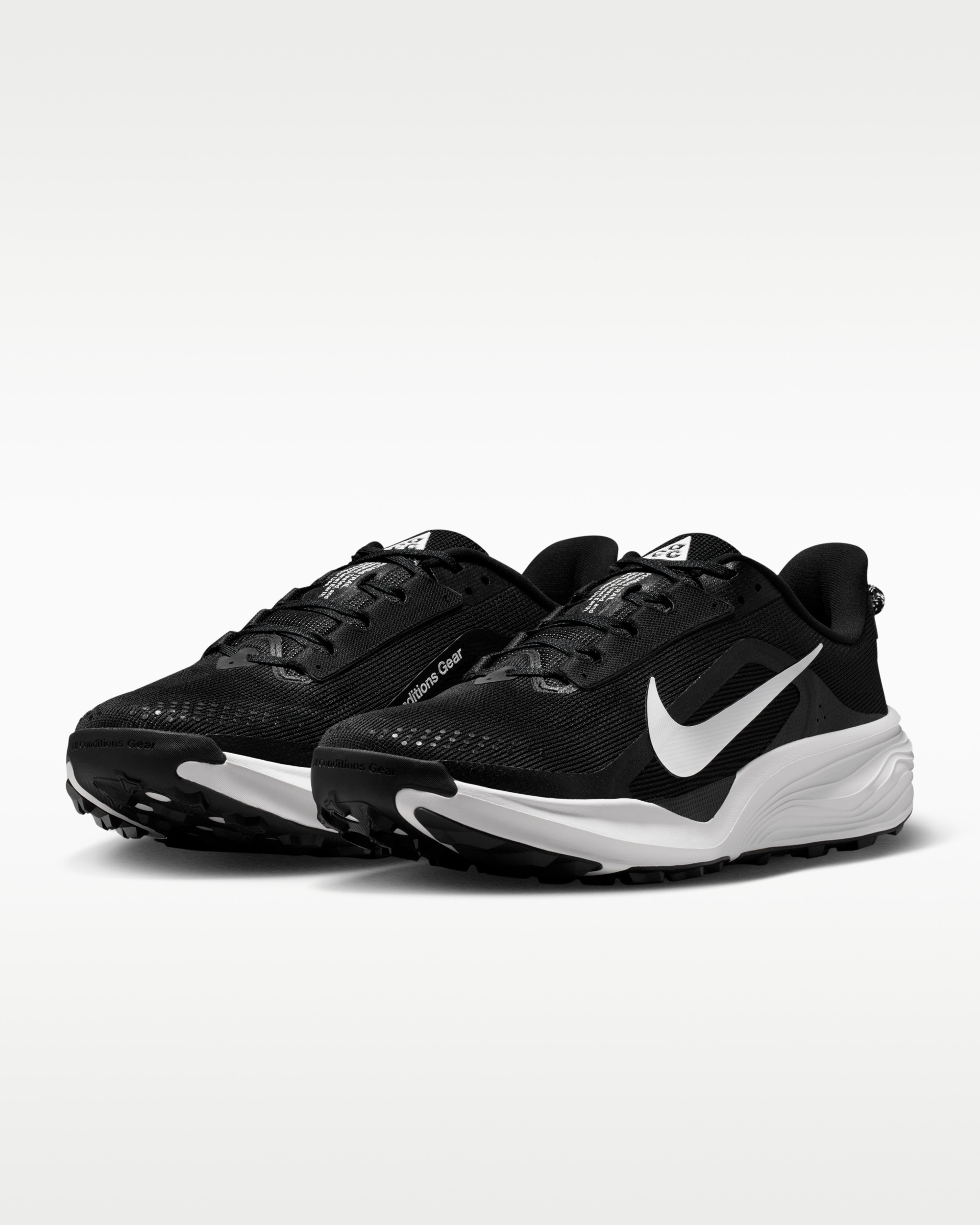 Кросівки Nike ACG PEGASUS TRAIL HV8116-001
