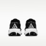 Кросівки Nike ACG PEGASUS TRAIL HV8116-001