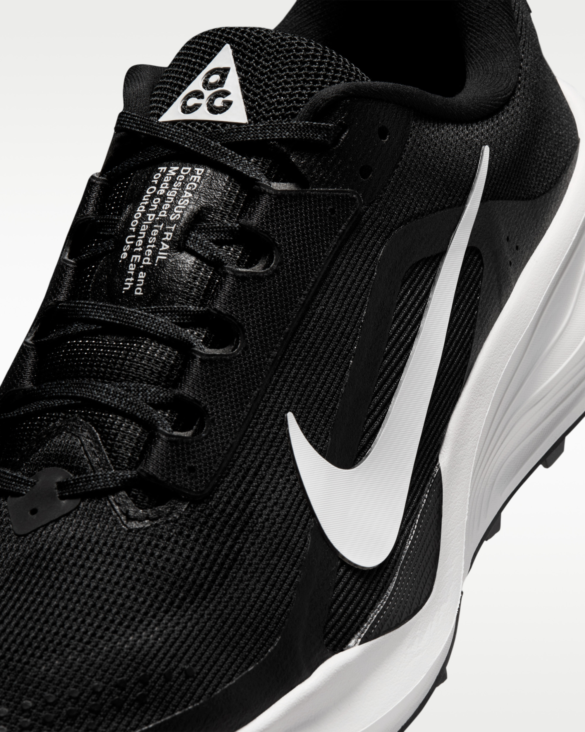 Кросівки Nike ACG PEGASUS TRAIL HV8116-001