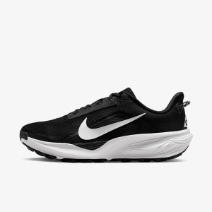 Кросівки Nike ACG PEGASUS TRAIL HV8116-001