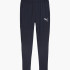 Штани Puma teamGOAL Slim Training Pants 659037-06