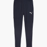Штани Puma teamGOAL Slim Training Pants 659037-06