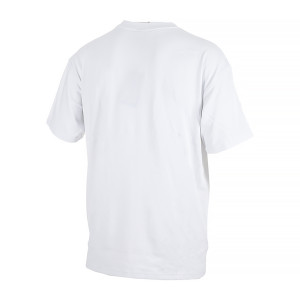 Футболка NIKE M NRG ACG SS LBR TEE DJ3642-121