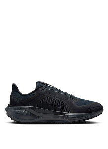 Кросівки Nike Pegasus 41 GORE-TEX Waterproof Road Running FQ1357-001