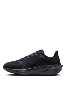 Кросівки Nike Pegasus 41 GORE-TEX Waterproof Road Running FQ1357-001