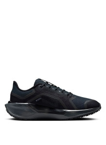 Кросівки Nike Pegasus 41 GORE-TEX Waterproof Road Running FQ1357-001