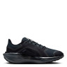 Кросівки Nike Pegasus 41 GORE-TEX Waterproof Road Running FQ1357-001