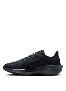 Кросівки Nike Pegasus 41 GORE-TEX Waterproof Road Running FQ1357-001