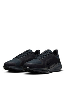 Кросівки Nike Pegasus 41 GORE-TEX Waterproof Road Running FQ1357-001