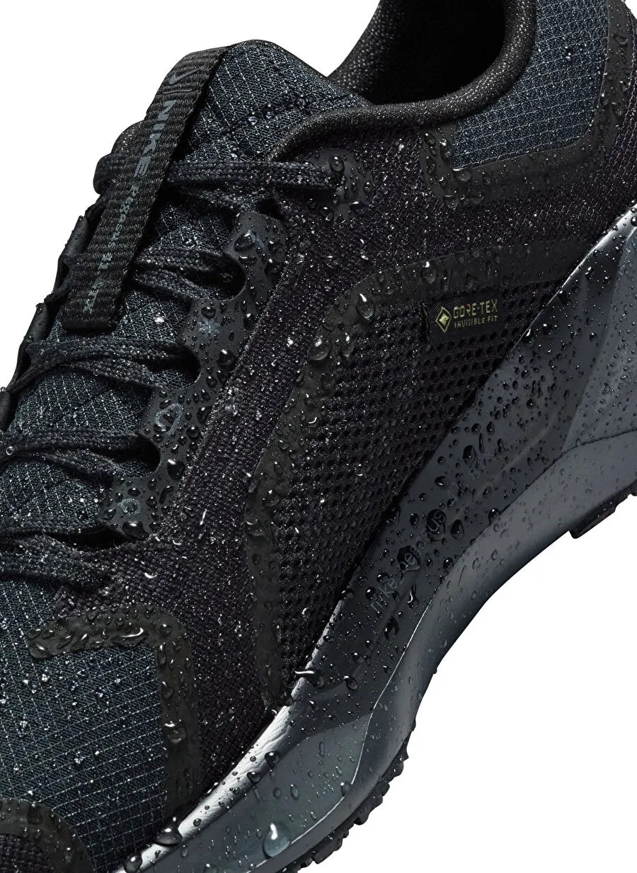Кросівки Nike Pegasus 41 GORE-TEX Waterproof Road Running FQ1357-001