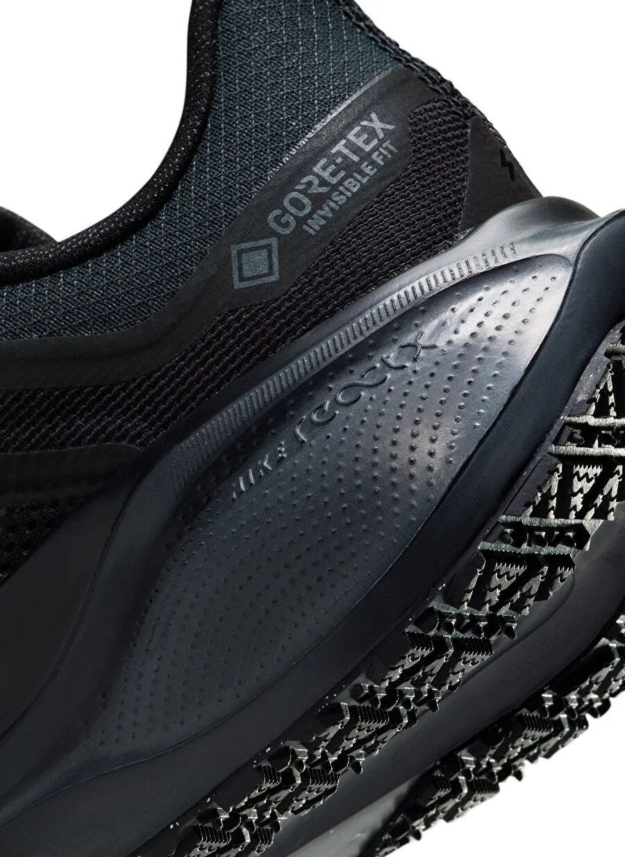 Кросівки Nike Pegasus 41 GORE-TEX Waterproof Road Running FQ1357-001