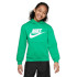 Худі дитяче Nike Sportswear Club Green FD2988-324