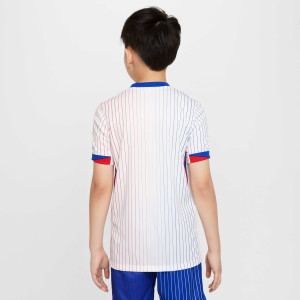 Футболка Nike Dri Fit shirt FJ4369-100