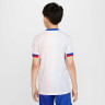 Футболка Nike Dri Fit shirt FJ4369-100