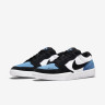 Кросівки Nike SB FORCE 58 CZ2959-400