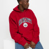 Худі Carhartt WIP Hooded Berkeley Sweat (I029511) I029511