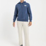 Худі чоловіче The North Face Box Nse Hoodie Blue NF0A7UNSMPF