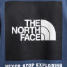 Худі чоловіче The North Face Box Nse Hoodie Blue NF0A7UNSMPF