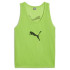 Манішка футбольна Puma Bib 657251-51, Цвет Зелёный, Размер (Европа) - XL 657251-51