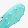 Бутси Nike LEGEND 10 PRO FG DV4333-401