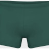 Плавки Arena BRIGHT GLARE SWIM SHORT 008941-601