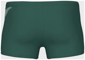 Плавки Arena BRIGHT GLARE SWIM SHORT 008941-601