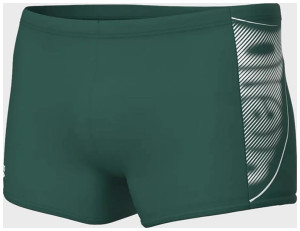 Плавки Arena BRIGHT GLARE SWIM SHORT 008941-601