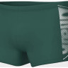 Плавки Arena BRIGHT GLARE SWIM SHORT 008941-601