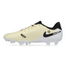 Бутси Nike LEGEND 10 ACADEMY FG/MG DV4337-700