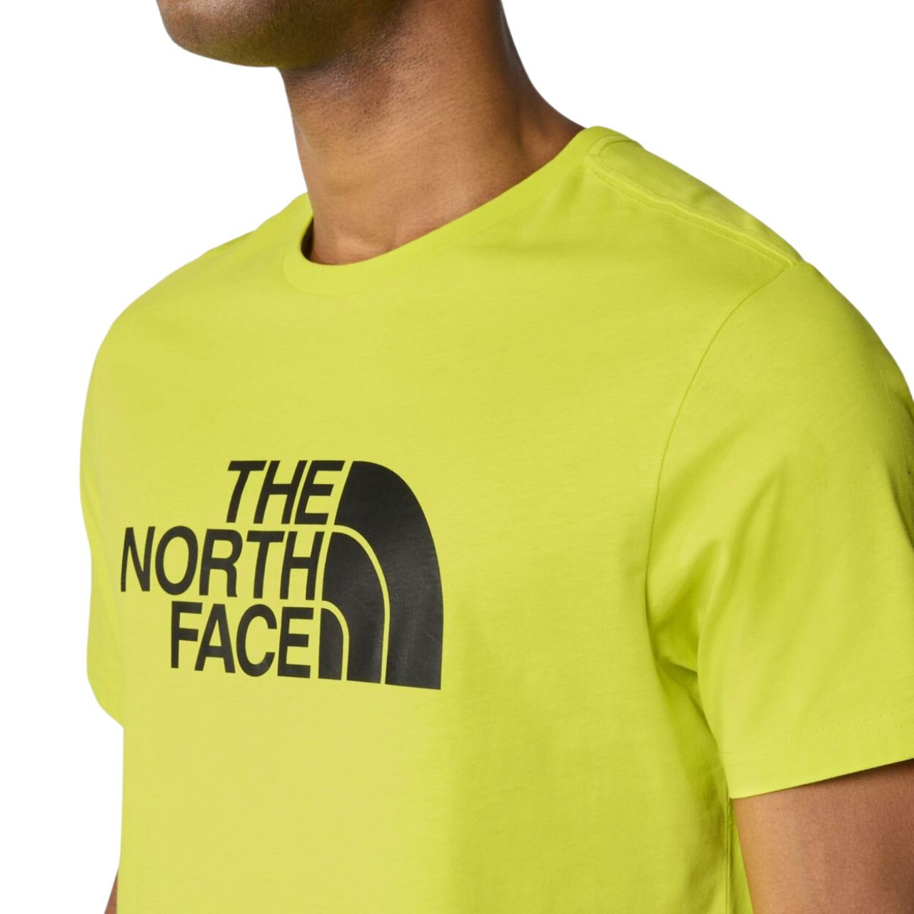 Футболка The North Face M S/S EASY TEE NF0A2TX38NT1